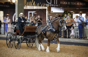 EquoShow reúne 20 instituições equestres em Tatuí