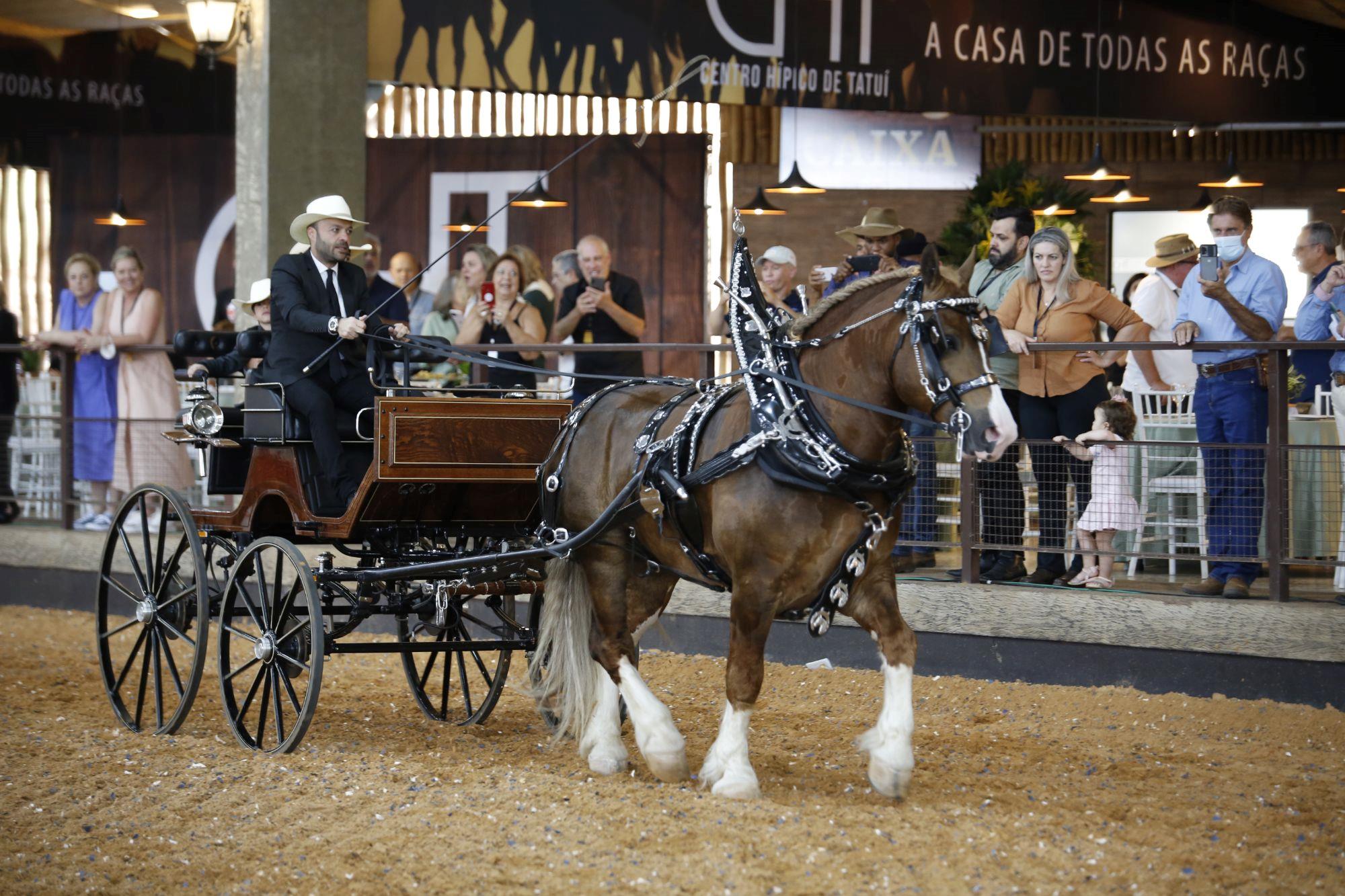 EquoShow reúne 20 instituições equestres em Tatuí