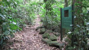 Férias destino na natureza melhora a saúde e bem-estar