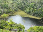Parque Nacional do Descobrimento no município baiano de Prado é imperdível