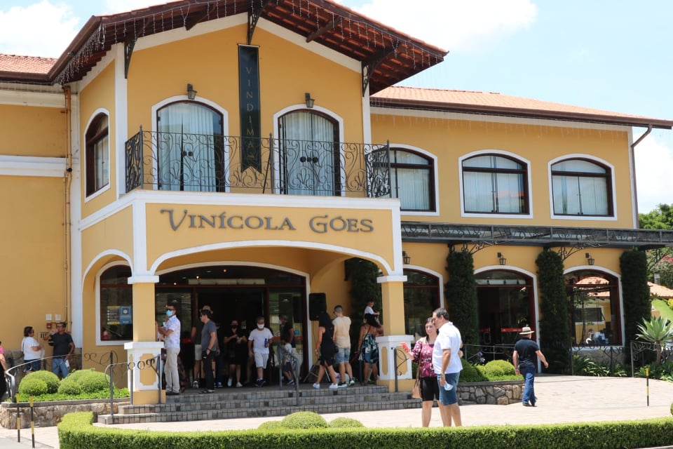 Vindima Góes, uma experiência única!