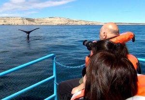 O paraíso das baleias e dos viajantes