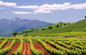 La Rioja, um canto da Argentina com muitos parques ecológicos e enoturismo