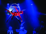 Universo Casuo apresenta o Grand Spectacle Du Cirque em São Paulo