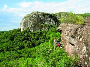 Um Dia no Parque tem programação do Pampa à Amazônia