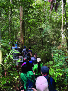 Um Dia no Parque tem programação do Pampa à Amazônia