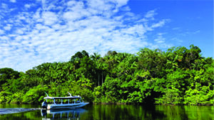 Um Dia no Parque tem programação do Pampa à Amazônia