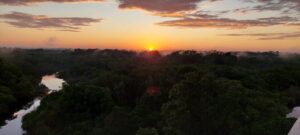 Juma Amazon Lodge inaugura torre de observação
