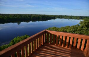 Juma Amazon Lodge inaugura torre de observação