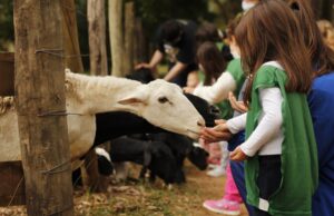 Hotel Fazenda Mazzaropi faz promoção para a Semana das Crianças