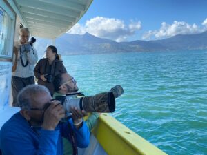 Ilhabela Bird Week 2022 foi um sucesso de público