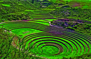 Machu Picchu Brasil combina experiência e paixão pelos encantos do destino Peru