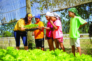 Começa a temporada de férias no Acampamento Peraltas em Brotas