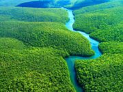 Amazônia um dos biomas verdes que incentiva o turismo de natureza pelo Brasil