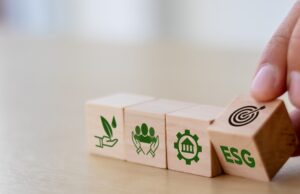 ESG: incorporando as questões ambientais, sociais e de governança nos investimentos