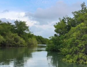 Desvendando os encantos do Rio Grande do Norte