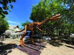 Ceará terá o maior parque de dinossauros da América Latina