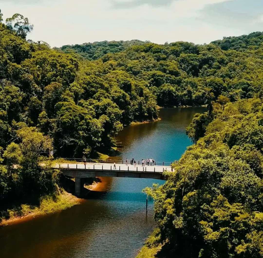 Distrito Turístico da Mata Atlântica aprova estatuto e define plano de ações