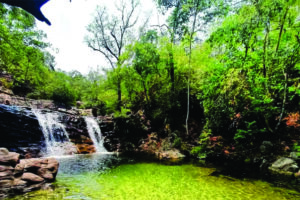 Roteiros turísticos são convites para experiências únicas no Pará