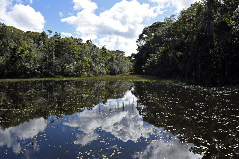 Parque Nacional do Descobrimento um santuário de biodiversidade