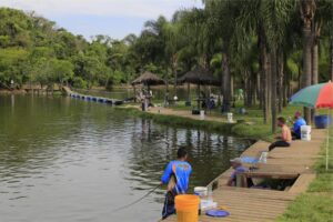 Parque Maeda oferece experiência única de colheita e degustação de morangos