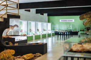 Dez cidades para visitar museus e conhecer a história dos dinossauros em São Paulo