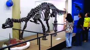 Dez cidades para visitar museus e conhecer a história dos dinossauros em São Paulo