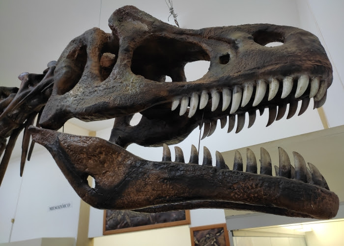 Dez cidades para visitar museus e conhecer a história dos dinossauros em São Paulo