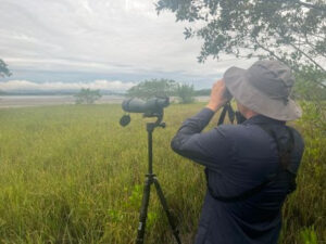 Joinville desponta como destino promissor para o turismo de observação de aves