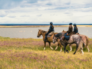Auroraeco e Cavalgadas Sob Medida anunciam roteiros inéditos de viagens a cavalo no Brasil e no exterior
