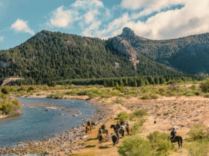 Auroraeco e Cavalgadas Sob Medida anunciam roteiros inéditos de viagens a cavalo no Brasil e no exterior