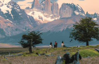 Auroraeco e Cavalgadas Sob Medida anunciam roteiros inéditos de viagens a cavalo no Brasil e no exterior