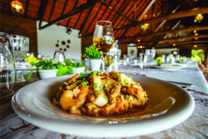 Hotel Fazenda Dona Paschoalina a concretização de um sonho familiar e a reinvenção da hospitalidade em socorro