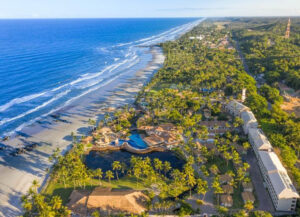 Ilhéus é o lugar ideal para aproveitar a temporada das baleias