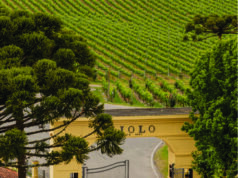 Miolo é a vinícola oficial do Festival de Cinema de Gramado