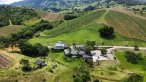 Taças entre montanhas enoturismo é destaque na região de Campos do Jordão