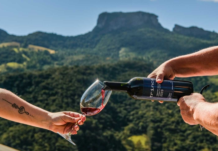 Taças entre montanhas enoturismo é destaque na região de Campos do Jordão