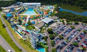 A lição de Disney, o modelo Serra Azul e a lei que abre caminho para o futuro do Brasil