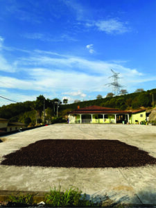 Café Nonno Marchi mostra o poder do preparo de um bom produto para o paladar e rota turística em Serra Negra