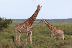 Namíbia, São Tomé e Príncipe e Maputo três destinos africanos pouco conhecidos que surpreendem viajantes