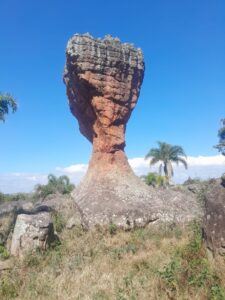 Região de Campos Gerais, em Ponta Grossa, no Paraná, lança aplicativo e guia turístico