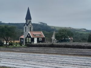Região de Campos Gerais, em Ponta Grossa, no Paraná, lança aplicativo e guia turístico