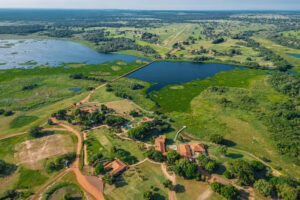 Turismo de conservação transforma viagens em experiências de impacto positivo