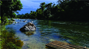Turismo em Guapimirim um guia para visitar a serra fluminense