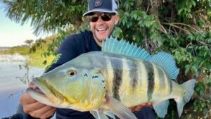 Pesca esportiva os 10 estados brasileiros favoritos para a prática