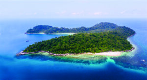 Selvas milenares e culturas vivas descubra o lado sustentável da Malásia