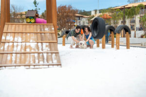 Turismo com afeto parceria leva cuidado veterinário a resorts dog friendly