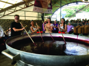 Festa da Uva 2026 celebra os 150 anos da imigração italiana