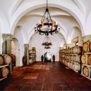 Forbes lista três vinícolas do Alentejo entre as 50 melhores do mundo