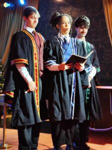 Grande Baile Tribruxo, mas o Harry não estava